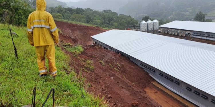 Aviário sofre danos com deslizamento de terra, em Itá
