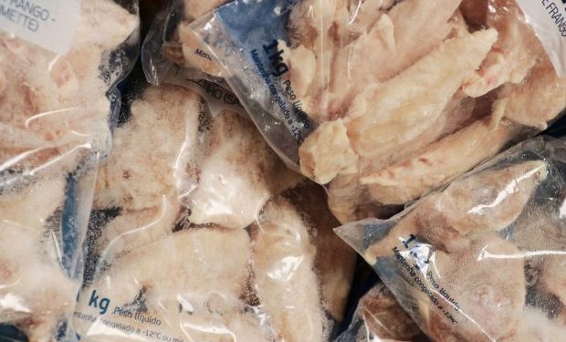 SC amplia em 28% as exportações de carne de frango no primeiro trimestre de 2022