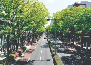 Prefeitura autoriza início da elaboração do Plano de Arborização Municipal