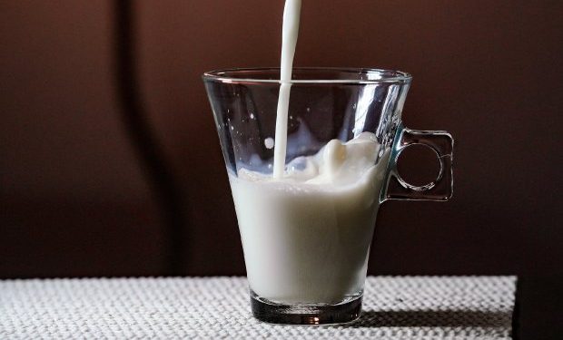 Sancionada lei que reduz ICMS do leite e de alimentos em Santa Catarina
