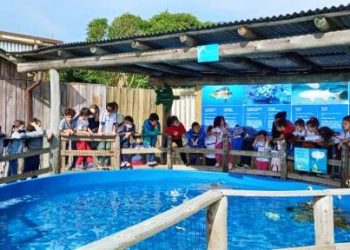 Crianças da rede municipal de Floripa visitam o Projeto Tamar e aprendem sobre as tartarugas