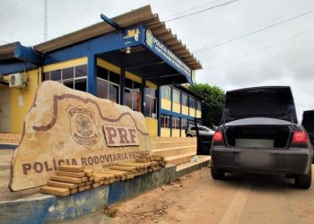 77 quilos de maconha apreendidos estavam sendo trazidos para abastecer traficantes em Florianópolis