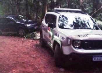 Homem trans é encontrado ferido e amarrado em área de mata no Ingleses