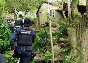 Em apenas um mês de funcionamento, Guarda Municipal Ambiental atende 150 ocorrências