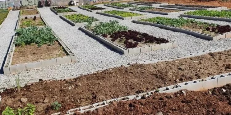 São José participa pelo 4º ano consecutivo da Semana Lixo Zero