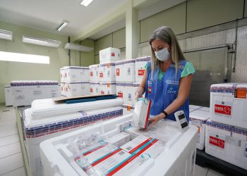 SC recebe nova remessa da Coronavac para crianças de 3 e 4 anos