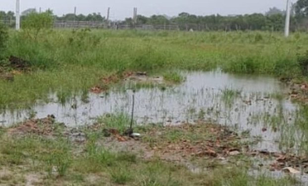 Corpo de homem é encontrado com rosto dentro de poça de água em Tijucas