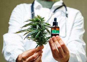 Médica explica efeitos da cannabis medicinal no tratamento de doenças