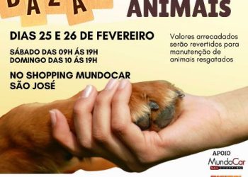 ONGs que atuam em defesa dos animais promovem bazar no Shopping MundoCar