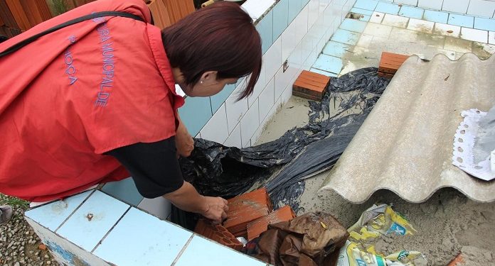 Palhoça confirma duas primeiras mortes por Dengue