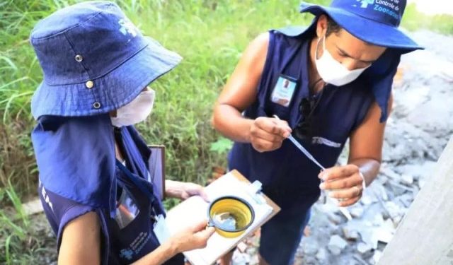 Florianópolis registra a primeira morte por dengue em 2023