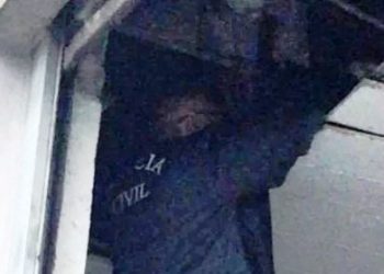 Dibea de São José resgata dois gatos em perigo no mesmo dia 