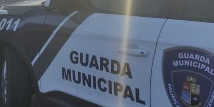 Foragido da Justiça é preso pela Guarda Municipal de Palhoça