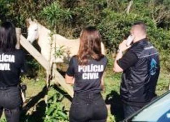 São José: polícia resgata 4 animais em operação no loteamento Lisboa