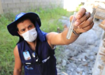 Grande Florianópolis teve mais de 40 mil casos de dengue em 2023