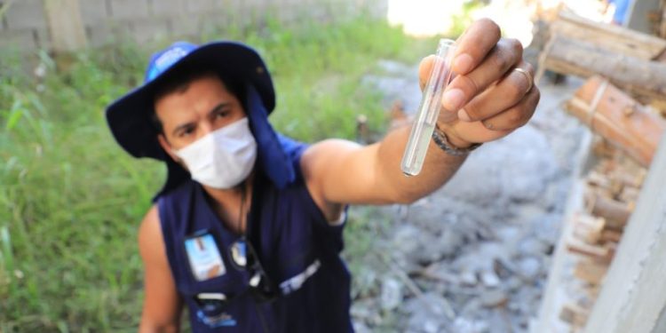 Grande Florianópolis teve mais de 40 mil casos de dengue em 2023