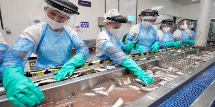 Justiça: indústria de pescados de SC não precisa de inscrição no Crea