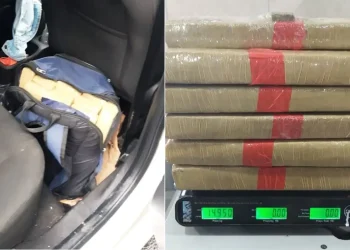 PRF flagra casal com 15 quilos de maconha na BR-101