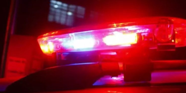 Idosa morre após ser atropelada na BR-282