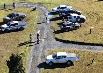 Operação da Polícia investiga criação clandestina de javalis na Grande Florianópolis