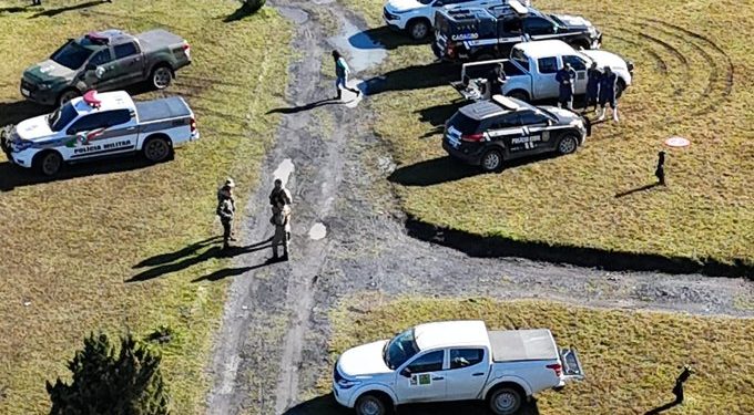 Operação da Polícia investiga criação clandestina de javalis na Grande Florianópolis