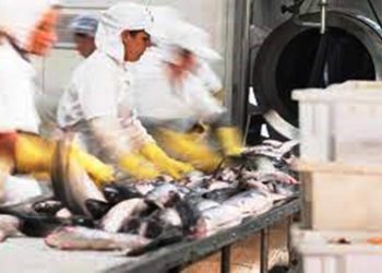 Com 2º maior crescimento do Brasil, produção industrial de SC avança 16%