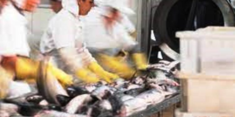 Com 2º maior crescimento do Brasil, produção industrial de SC avança 16%