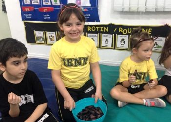 Alesc aprova lei que garante pinhão na alimentação escolar