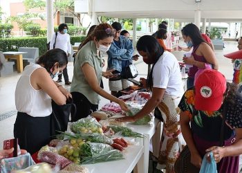Campus da UFSC recebe Feira da Reforma Agrária de quinta a sábado