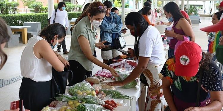 Campus da UFSC recebe Feira da Reforma Agrária de quinta a sábado