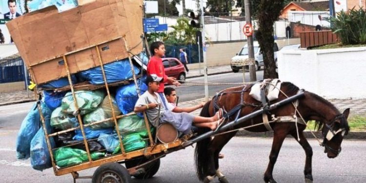 Avança na Alesc projeto que proíbe tração animal em Santa Catarina
