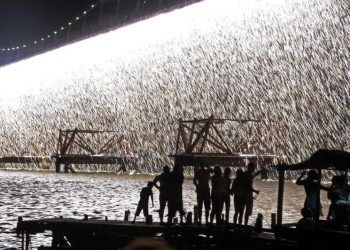 Réveillon de Floripa terá espetáculo de 15 minutos com cascata na Ponte, arte e música