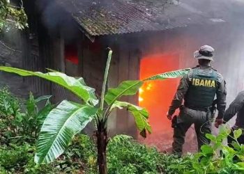 Casas irregulares em terra indígena são demolidas na Grande Florianópolis