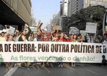 Estudo aponta custo da guerra às drogas em SC e outros cinco estados