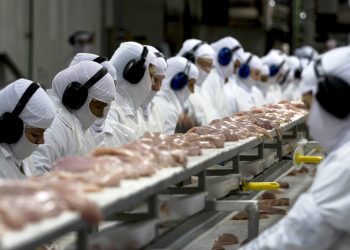 SC bate recorde histórico e exporta 328,6 mil toneladas de carnes no primeiro bimestre