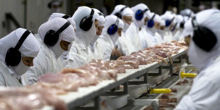 SC bate recorde histórico e exporta 328,6 mil toneladas de carnes no primeiro bimestre