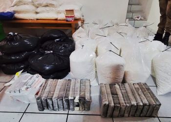 Polícias apreendem 209 quilos de maconha em operação na Grande Florianópolis