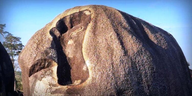 Fato ou fake: o que podem revelar pegadas de tamanho gigante na Amazônia?
