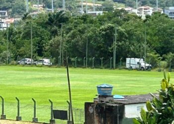 Mais uma vez, corpo é encontrado em região de mata na Grande Florianópolis