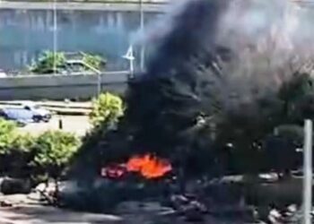 Vídeo: fogo em vegetação na área dos clubes de Remo mobiliza Bombeiros
