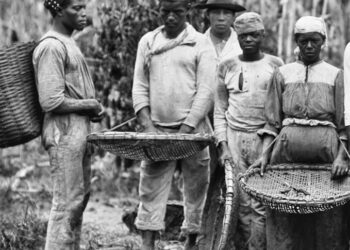 Pesquisa antropológica resgata história de africanos escravizados em SC