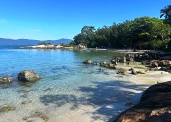 Plano de ações fortalecem a biodiversidade na região de Florianópolis