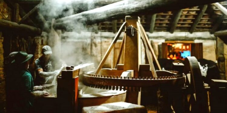 Engenhos de farinha e pesca com botos em SC passam a ser Patrimônio Cultural do Brasil