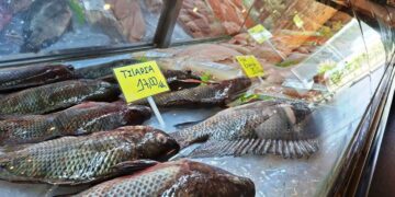 Peixes frescos ganham protagonismo no almoço de Páscoa
