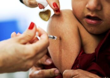 Santa Catarina recebe as primeiras doses da vacina contra a gripe influenza