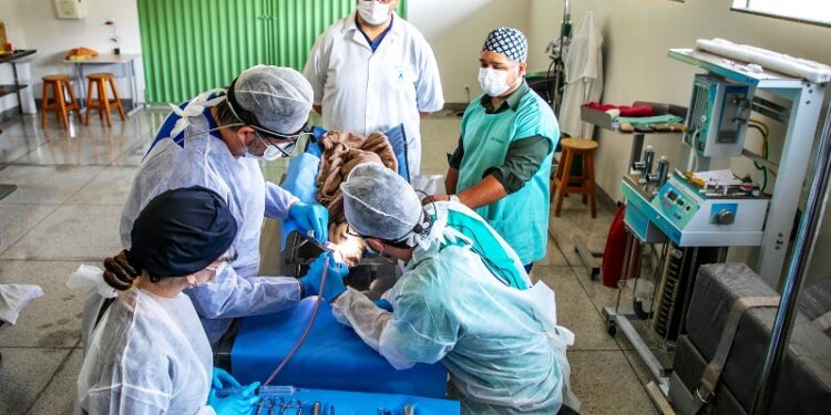 Pesquisa da UFSC usa estímulos elétricos para regenerar ossos no corpo