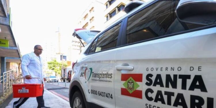 Santa Catarina registra maior taxa de doação de órgãos do Brasil