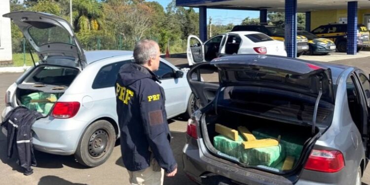 PRF intercepta comboio com 360 quilos de maconha em Santa Catarina