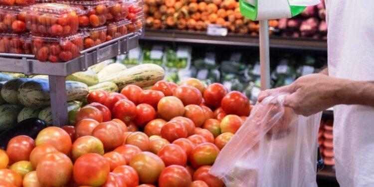 Produtos orgânicos comercializados em Santa Catarina viram alvo de fiscalização