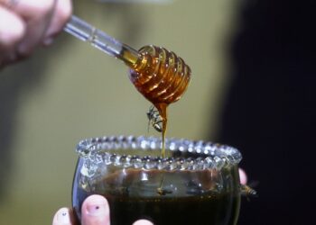 25ª Feira do Mel volta a Florianópolis e projeta comercializar até 55 toneladas de produtos